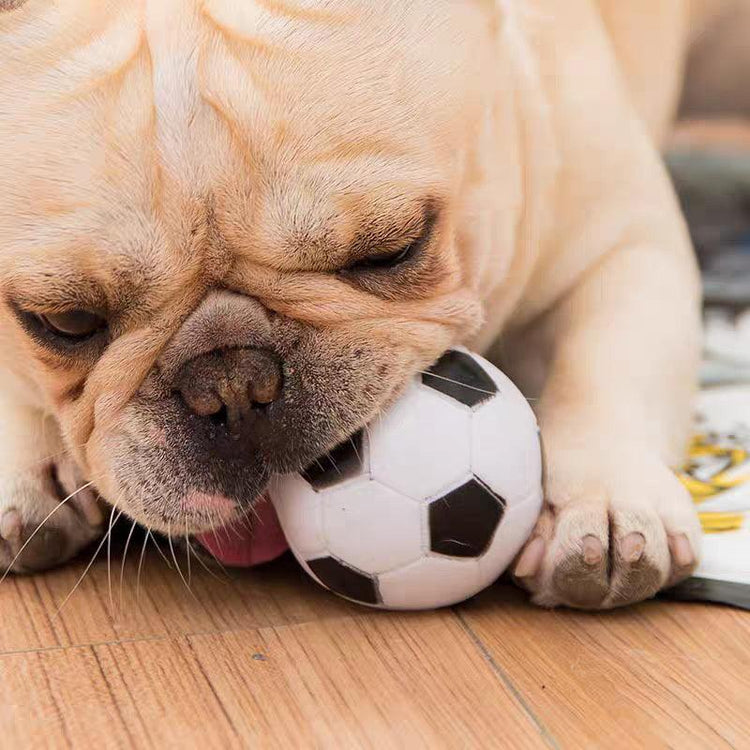 Pet Products